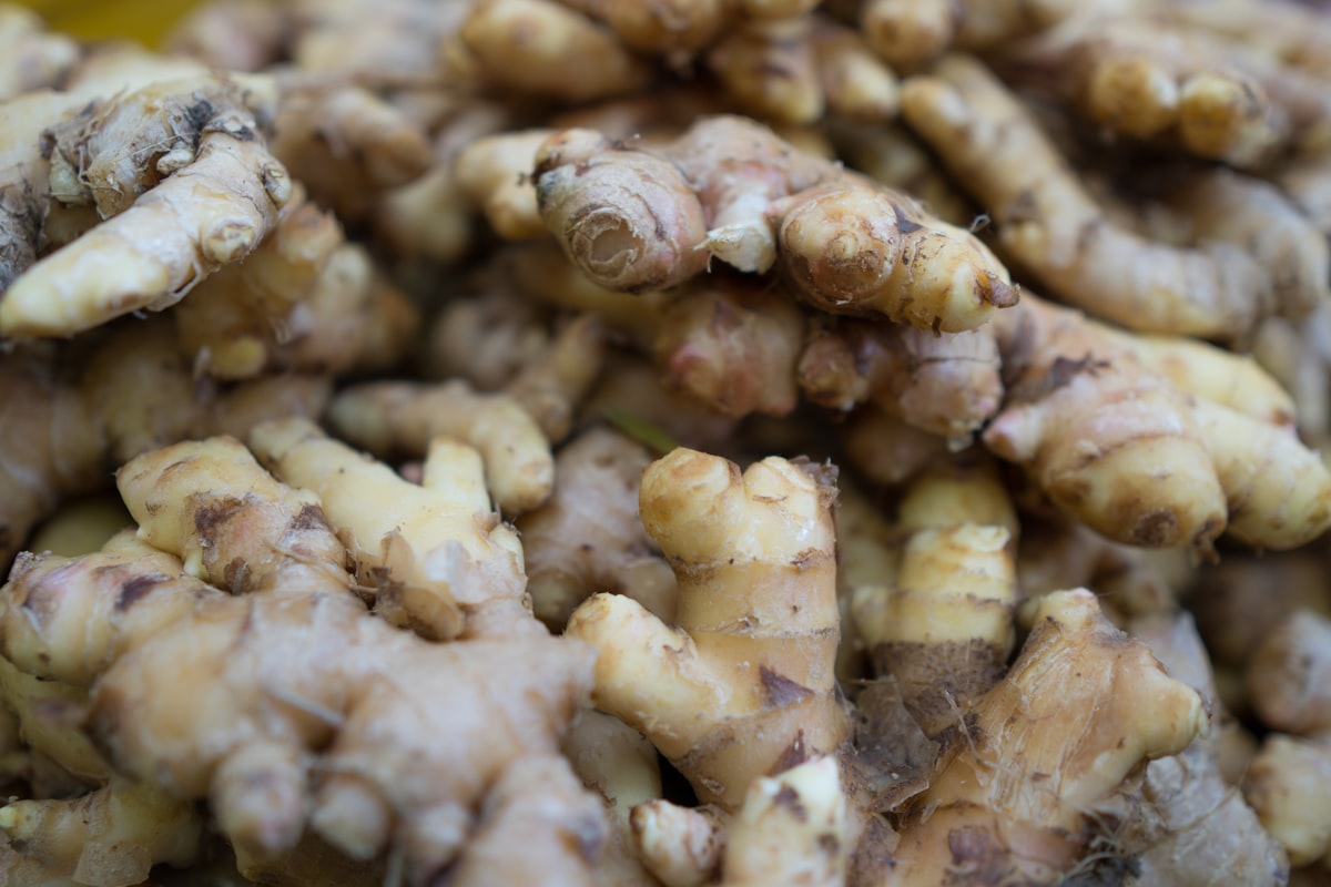 Manzanilla para la Digestión